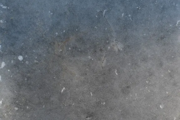 Cazino Coins Game Cazinou Suport